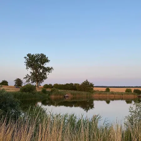 Lüks kamp alanı Glamping Im Gutspark - Park Malchin