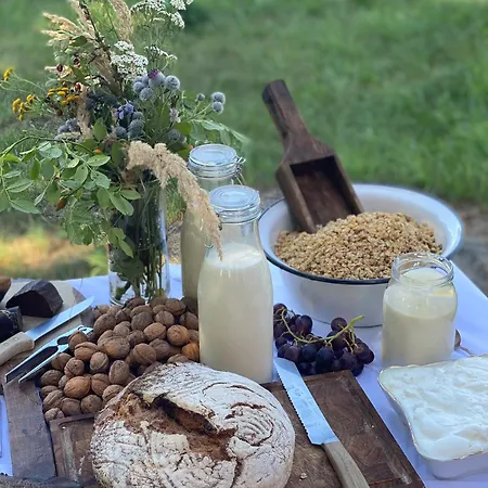 Glamping Im Gutspark - Park 豪华帐篷 *
